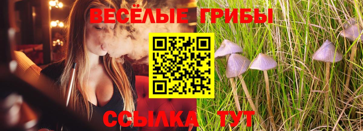 Галлюциногенные грибы мухоморы  Вход с VPN  Псилоцибиновые грибы Psilocybine cubensis  Ростов-на-Дону 